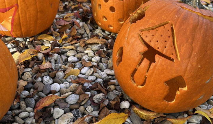 Zobraziť fotografiu