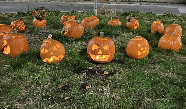 Zobraziť fotografiu