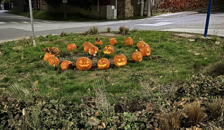 Zobraziť fotografiu